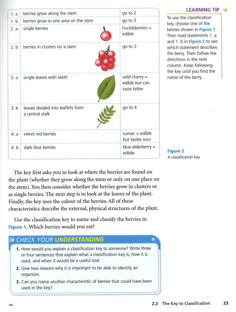 BC Science Probe 6 page