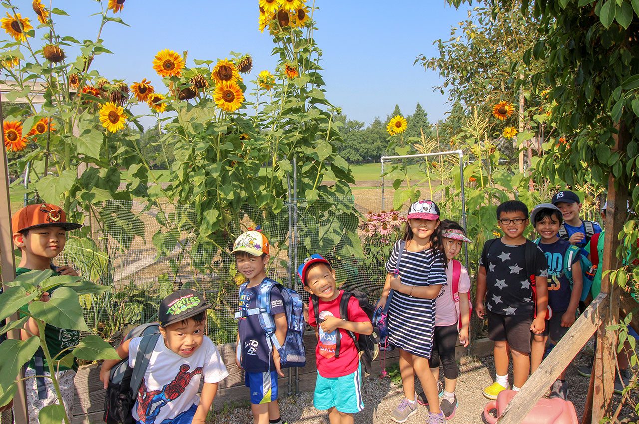 North Vancouver Summer Camps 2021 Pear Tree Education