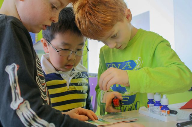 summer camps vancouver