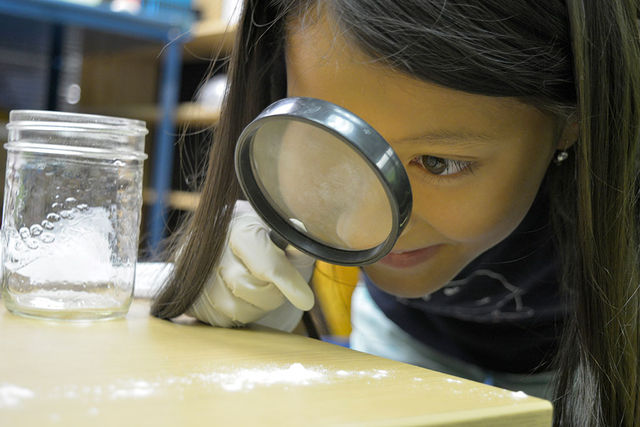 Children doing detective activities at Pear Tree camp