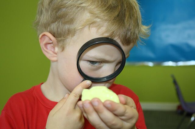 junior-scientists at Pear Tree Education